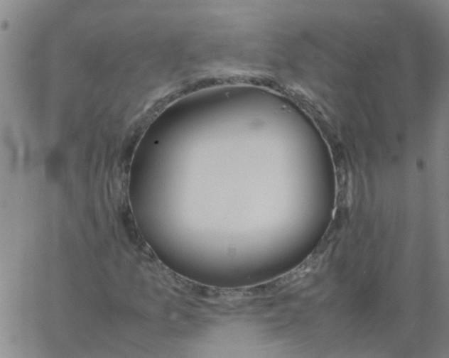 X0000066081157200603311928