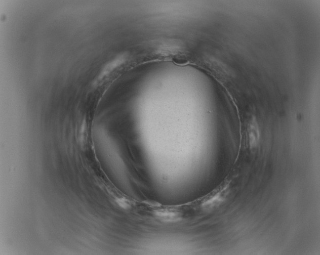 X0000066081158200603311928