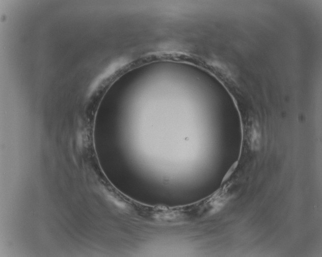 X0000066081159200603311928