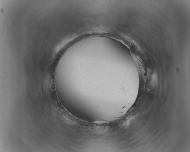 X0000066081160200603311928