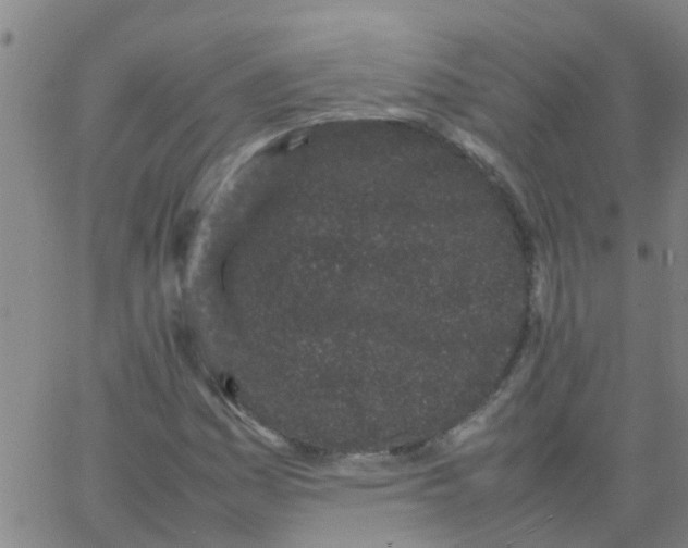 X0000066081161200603311928