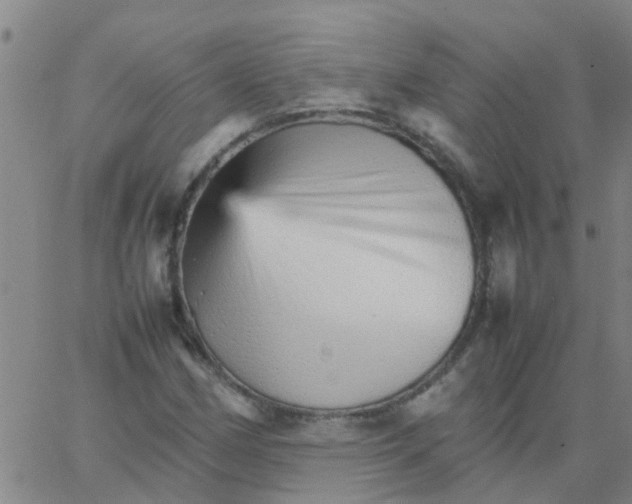 X0000066081162200603311928