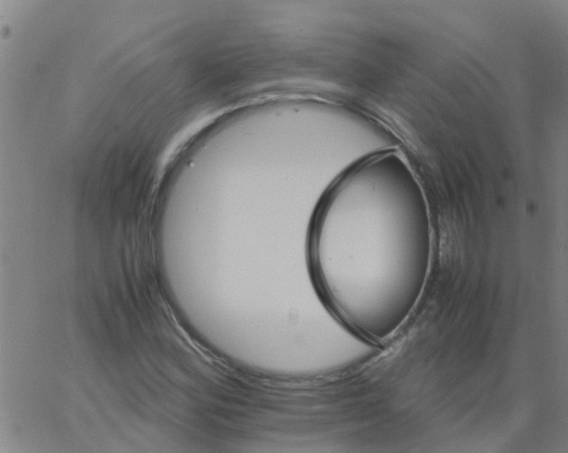 X0000066081164200603311928