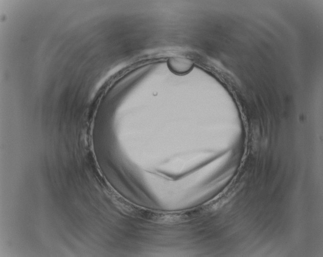 X0000066081166200603311928