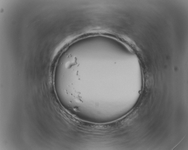 X0000066081167200603311928