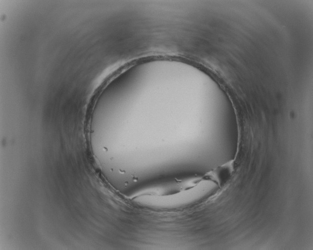 X0000066081168200603311928