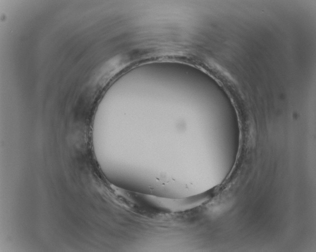 X0000066081169200603311928