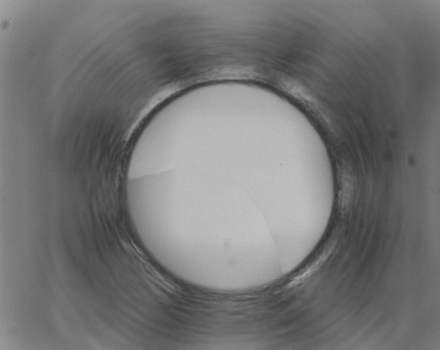 X0000066081170200603311928