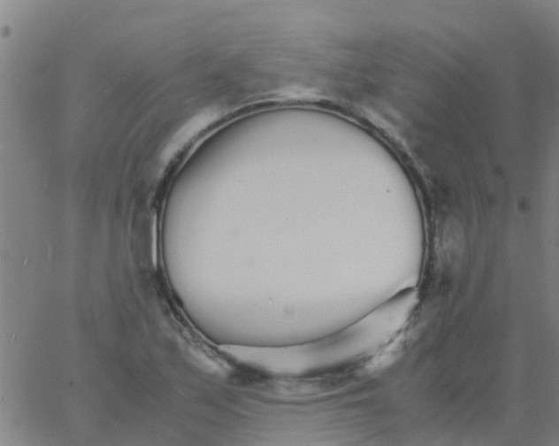 X0000066081171200603311928