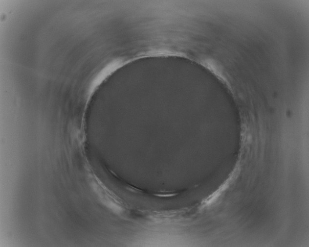 X0000066081173200603311928