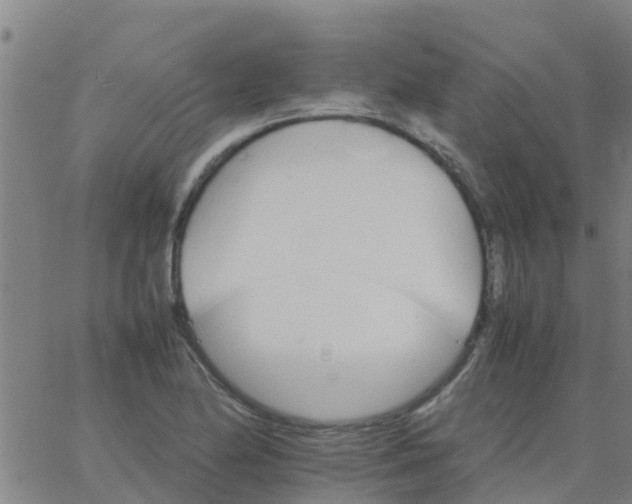 X0000066081174200603311928