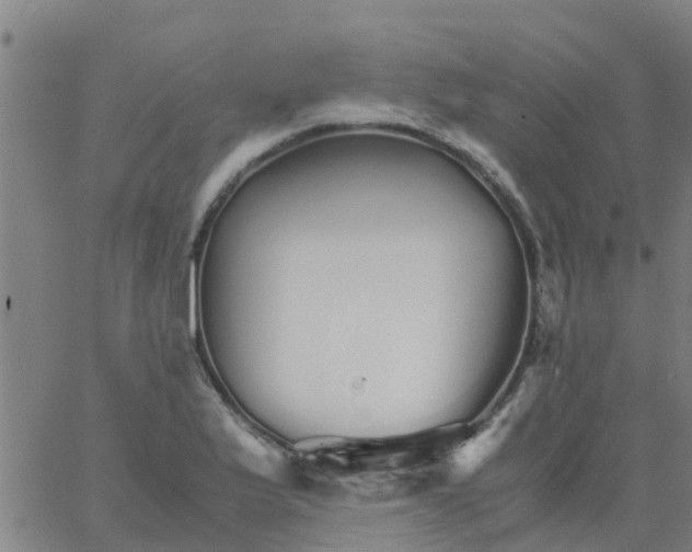 X0000066081175200603311928