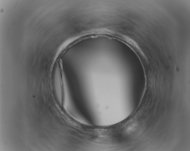 X0000066081176200603311927