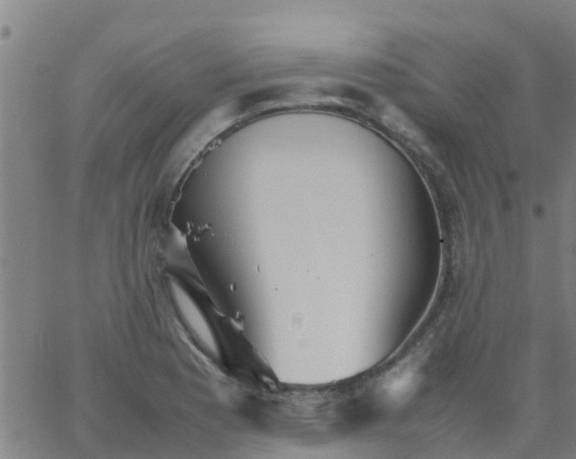 X0000066081177200603311927