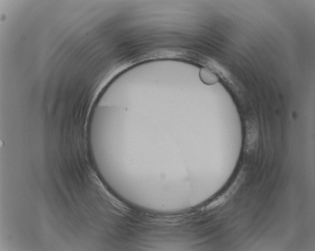 X0000066081178200603311927