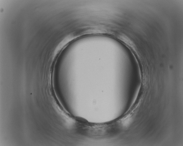 X0000066081179200603311927