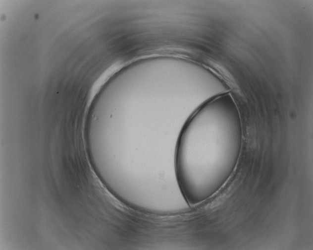 X0000066081180200603311927