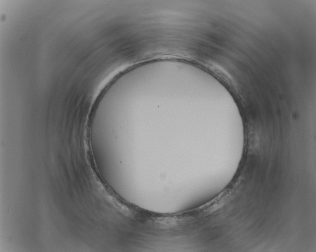 X0000066081182200603311927