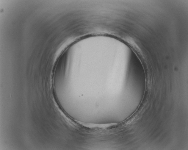 X0000066081183200603311927