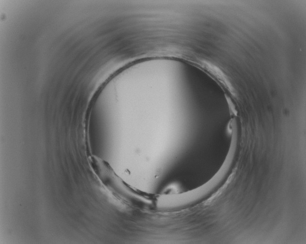 X0000066081184200603311927