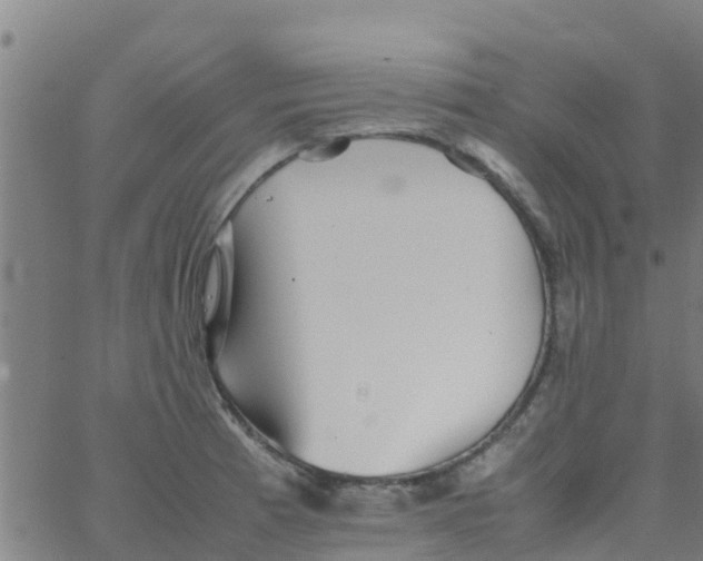 X0000066081185200603311927