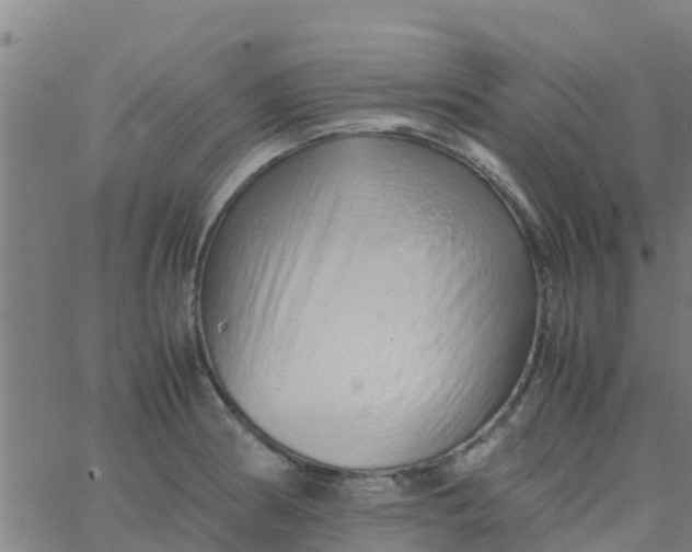 X0000066081186200603311927