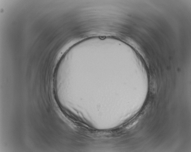 X0000066081187200603311927