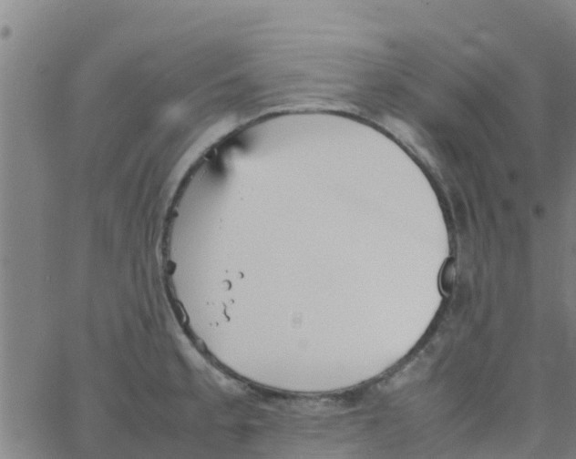 X0000066081189200603311927