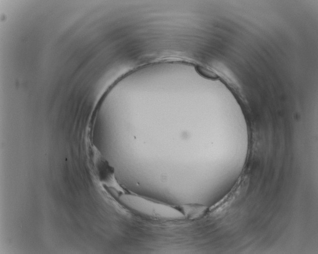 X0000066081190200603311927