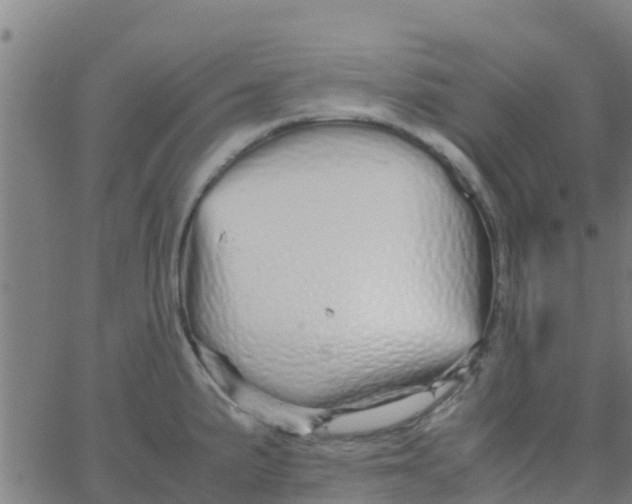 X0000066081191200603311927