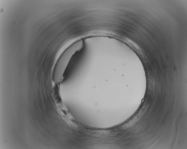 X0000066081192200603311927