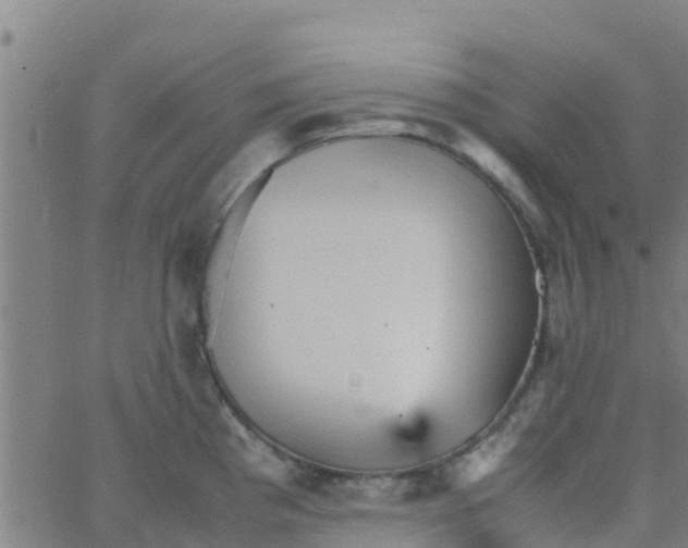 X0000066081193200603311927