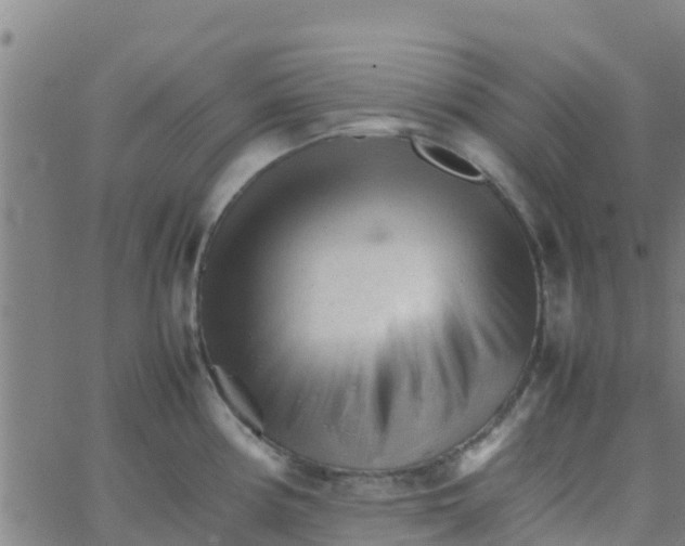 X0000066081194200603311927