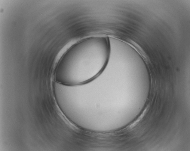 X0000066081196200603311927