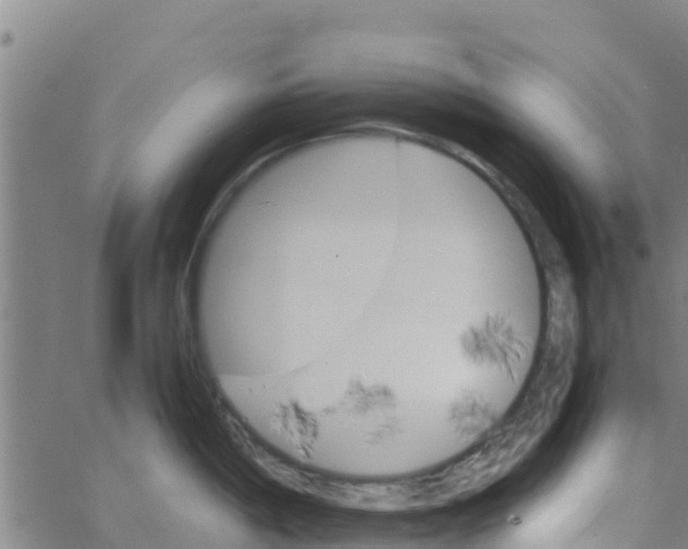 X0000066081198200603311927