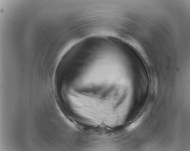 X0000066081199200603311927