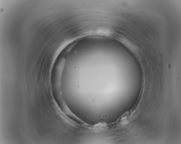 X0000066081200200603311927