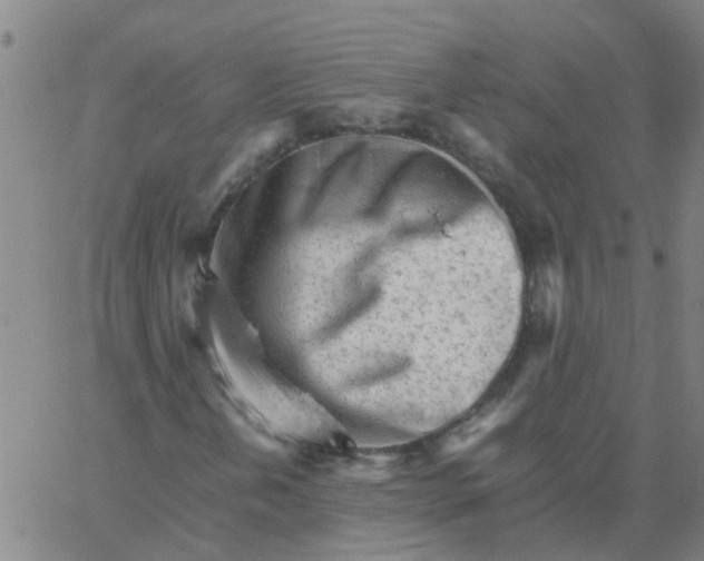 X0000066081202200603311926