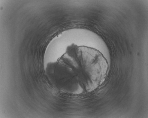 X0000066081203200603311926