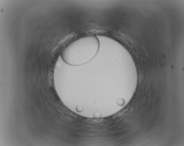 X0000066081205200603311926