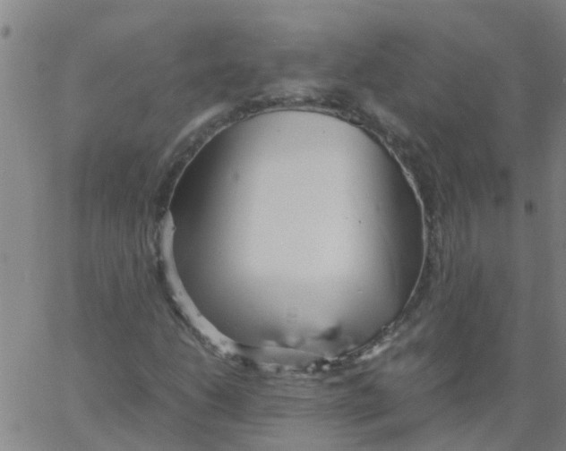 X0000066081206200603311926