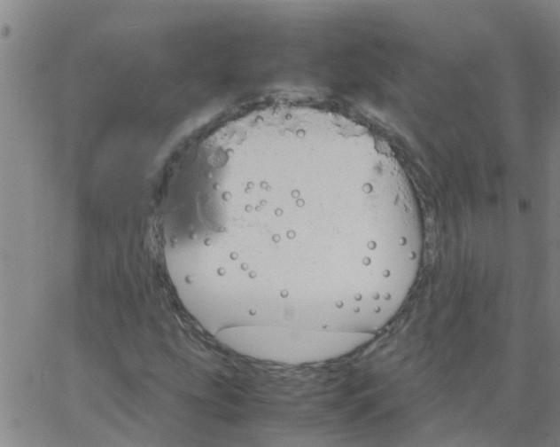 X0000066081207200603311926