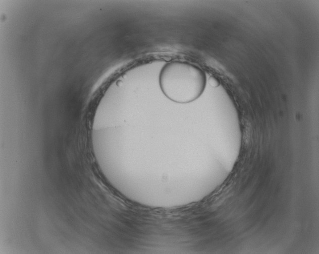 X0000066081208200603311926