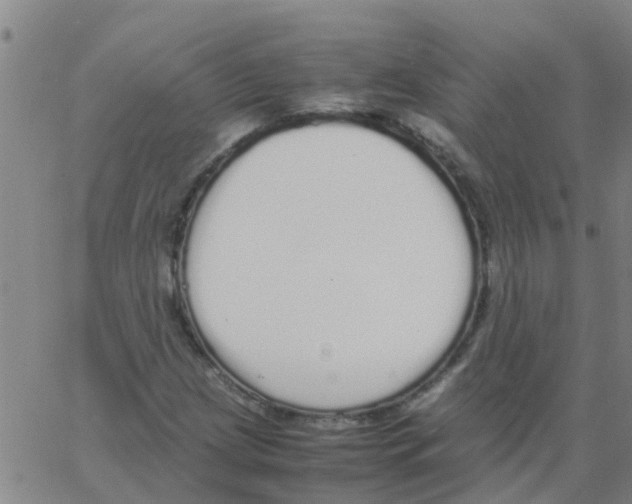 X0000066081209200603311926