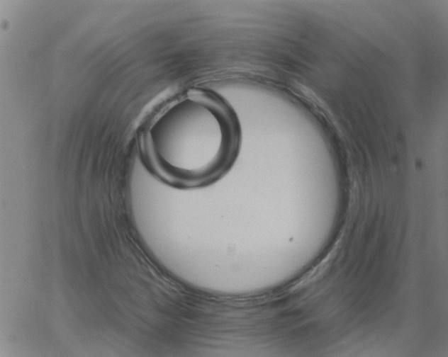 X0000066081210200603311926