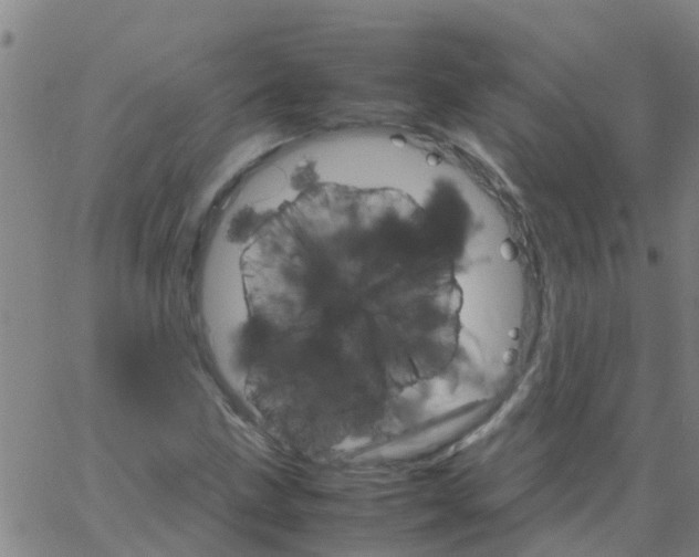 X0000066081211200603311927