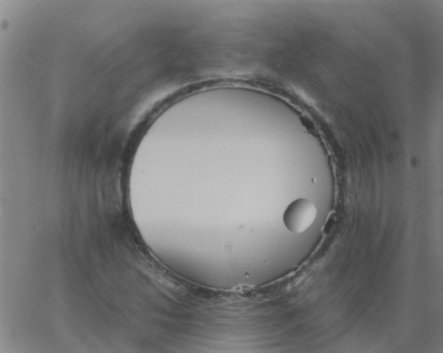 X0000066081214200603311927