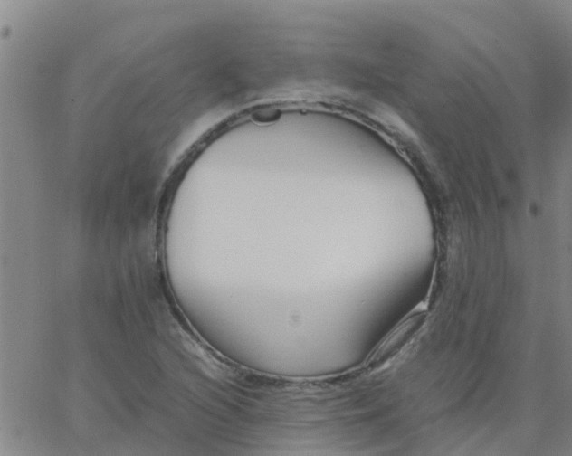 X0000066081216200603311927