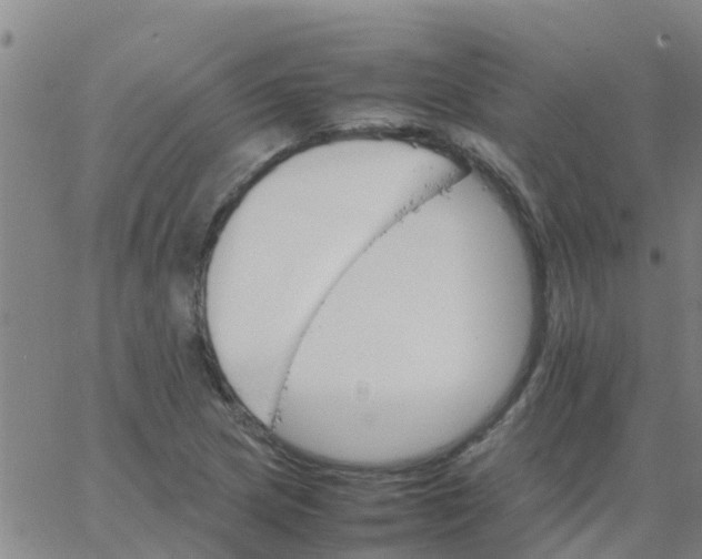 X0000066081217200603311927