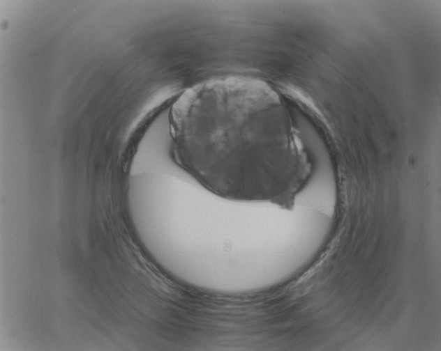 X0000066081219200603311927